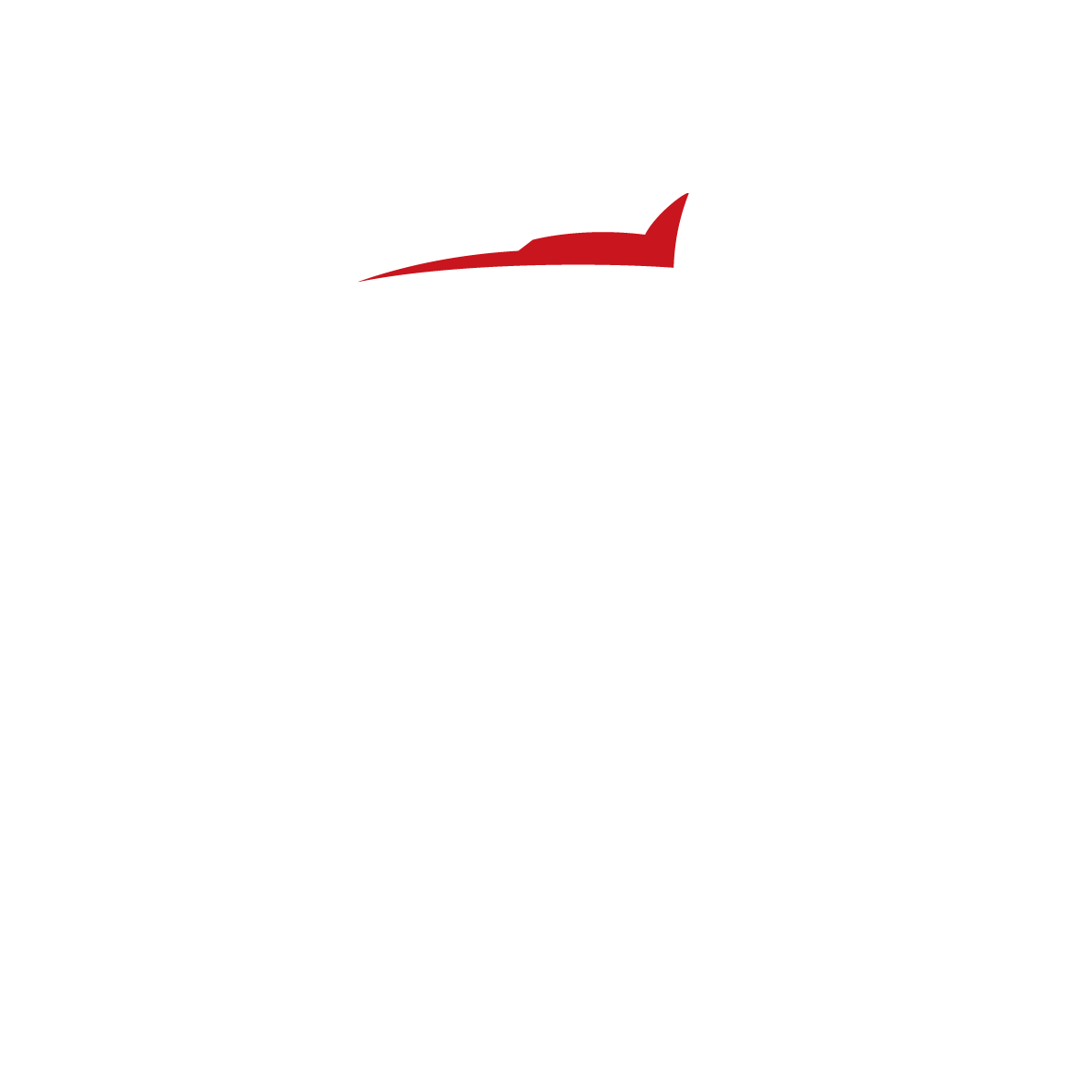 Anhui Leoch Power Technology Co., Ltd.